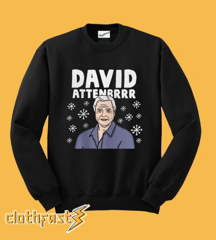 David Attenbrrr Christmas Sweatshirt