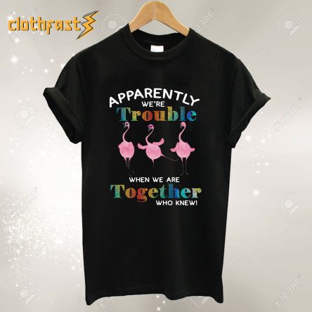 Apparently We’re Trouble When We Are Together Who Knew T Shirt
