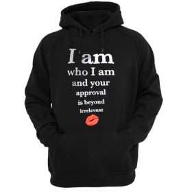 i am who i am and your approval is beyond irrelevant hoodie